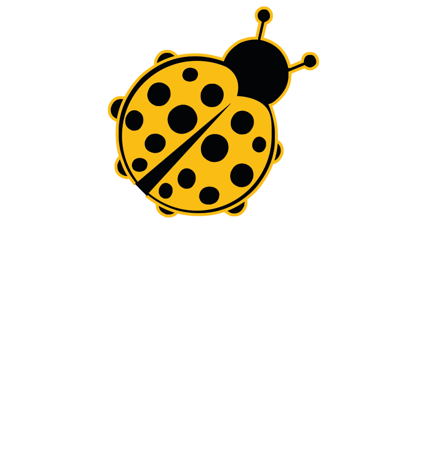 T-SHITR&CO